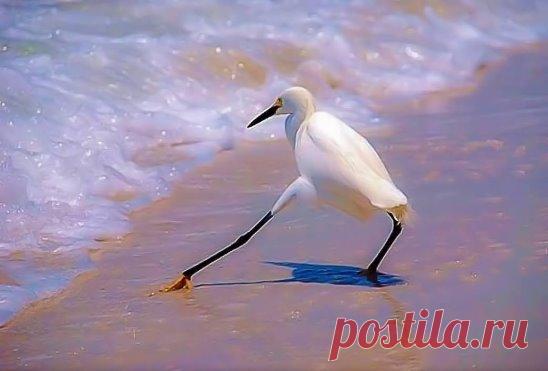 ...а вдруг....вода холодная??!