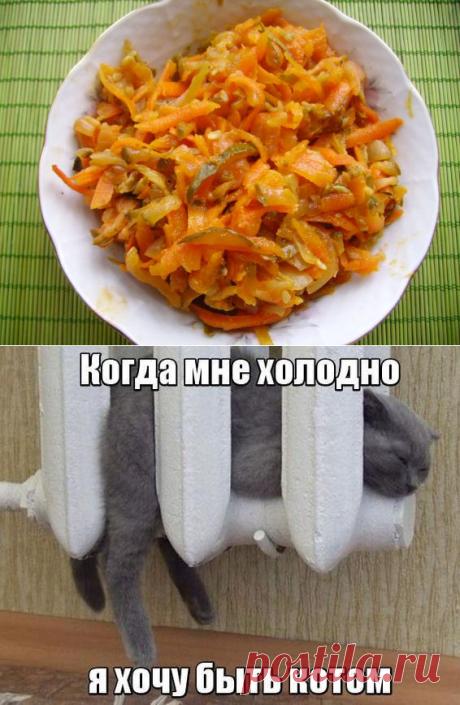 Интересная закуска из жареных соленых огурцов | Блог Лены Радовой
