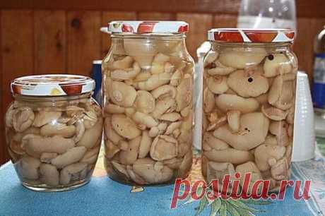 Маринованные маслята.

Маринад: 1 литр воды, 8 ст.л. уксуса 9 %, 1,5-2 ст.л.(с верхом) сахара,1 ст. л. соли(с верхом), 4 горошины душистого перца, 2 лавровых листа,4 горошины горького перца,4 гвоздички(обязательно).Литр маринада на 2 кг. грибов.

Сложить в кастрюлю мытые грибочки, залить водой и отварить в под солёной воде.
Покипят минут 30 ,промыть в дуршлаге холодной водой
Поставить варить маринад, дать ему закипеть
В это время стерилизуем банки и крышки ,их я не кипячю а заливаю водой с доб