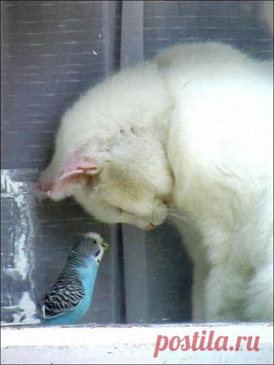 Найдено на сайте indulgy.com.