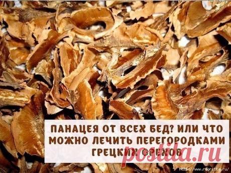 что можно вылечить перегородками грецких орехов