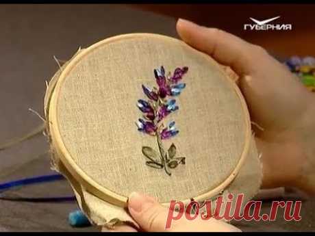 Шалфей лентами