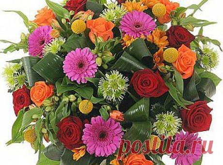 Просто прелестные цветы.