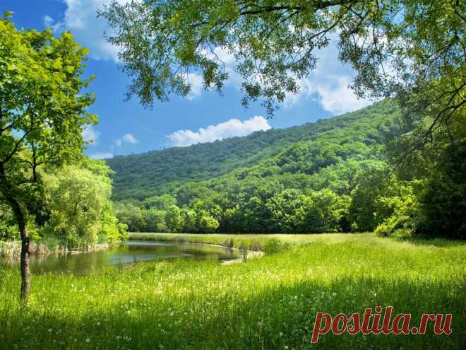 BG_SummerLandscape.jpg (1024×768)