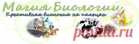 Магия Биологии: ВЕСЕННЯЯ ЭКСКУРСИЯ ВДОЛЬ РЕКИ: ПОЛОВОДЬЕ