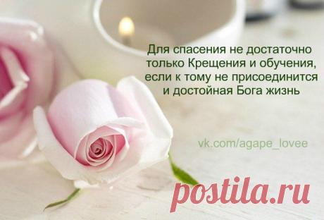 ♥...Агапэ...♥