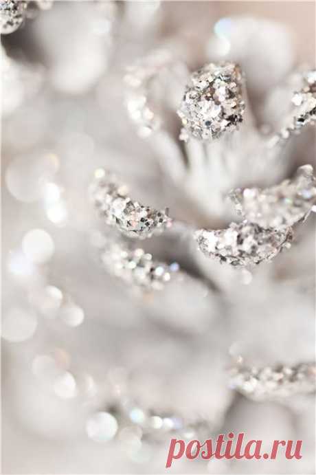 (22) Pinterest