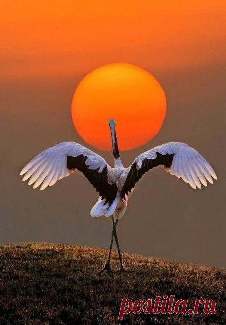 Полезно знать . Советы , Лайфаки . — Разное | OK.RU