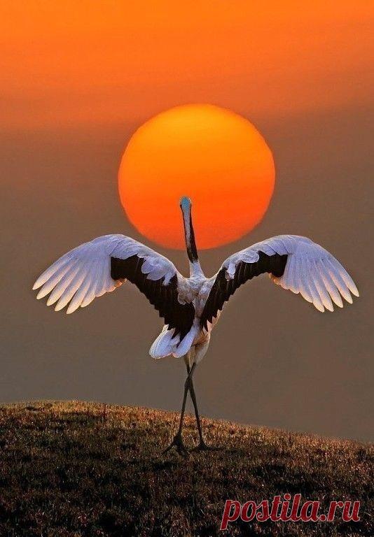 Полезно знать . Советы , Лайфаки . — Разное | OK.RU