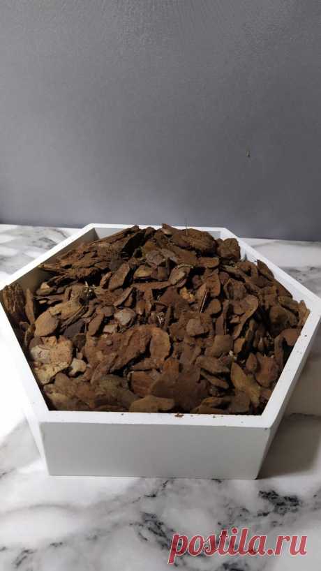 Орхидеи Ржев Юлия Кора сосны мелкая для орхидей и подростков