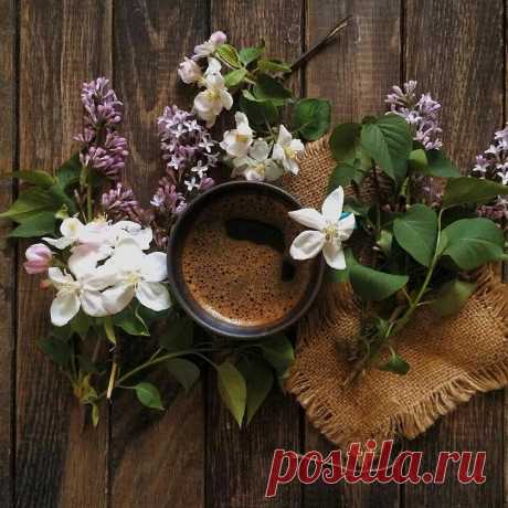 Утро чай цветы - фото и картинки: 59 штук