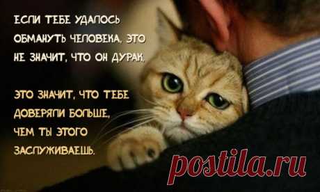Если тебе удалось обмануть человека...