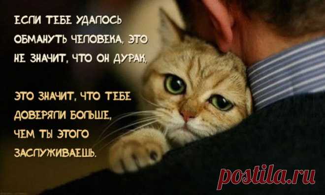 Если тебе удалось обмануть человека...