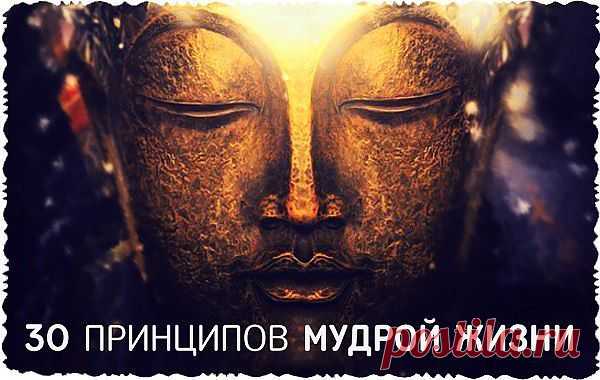 Дневник успеха