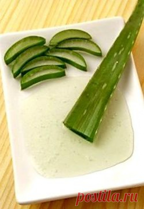 Маска из алоэ для омоложения кожи лица.