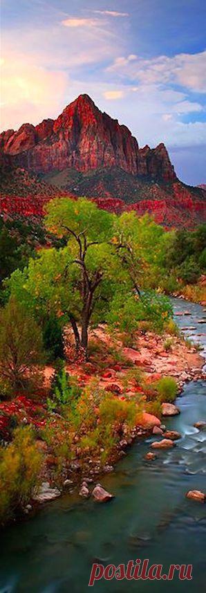 Найдено на сайте flickr.com.