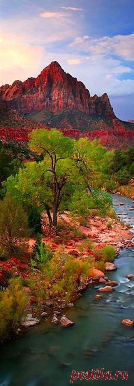 Найдено на сайте flickr.com.