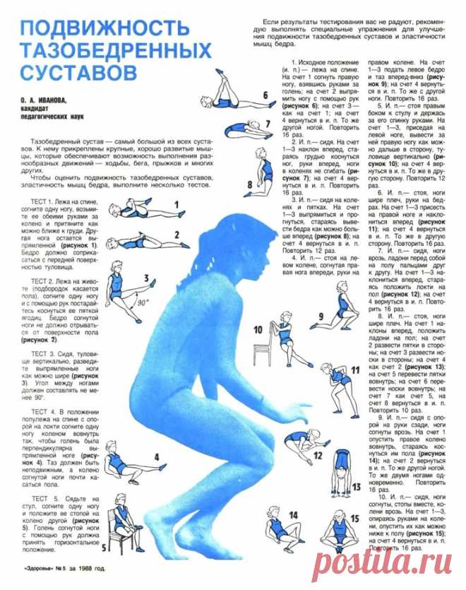 Упражнения для подвижности тазобедренных суставов