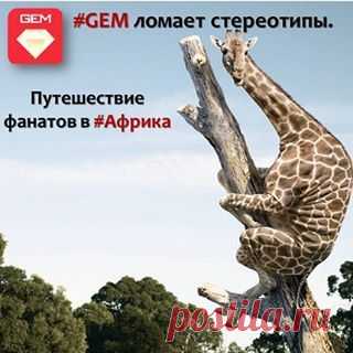 Не важно, сколько времени займет восхождение, важно какой вид откроется с вершины. 
#GEM #Африка #юар  #путешествие #отдых #сафари #instalike #ininstagood