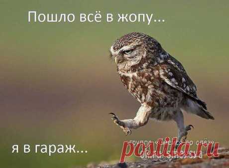 СРОЧНО! Обменяю женскую способность переживать из - за всякой фигни, на мужскую способность забивать на всё и не парится!!!!!)))