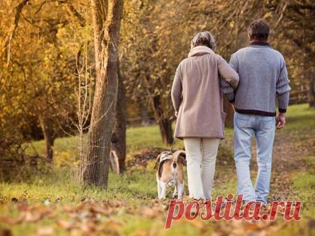 Слабоумие никогда не приходит внезапно Академик Бехтерев, посвятивший жизнь изучению мозга, как-то заметил, что великое счастье умереть, сохранив на дорогах жизни разум, будет дано лишь 20% людей.Академик Бехтерев, посвятивший жизнь изучен...