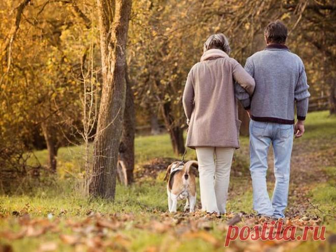 Слабоумие никогда не приходит внезапно Академик Бехтерев, посвятивший жизнь изучению мозга, как-то заметил, что великое счастье умереть, сохранив на дорогах жизни разум, будет дано лишь 20% людей.Академик Бехтерев, посвятивший жизнь изучен...