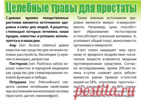Целебные травы для простаты
