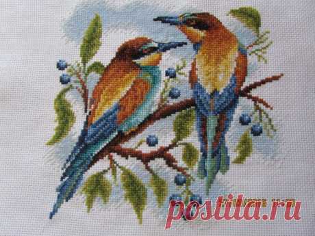 Весна-птички поют!