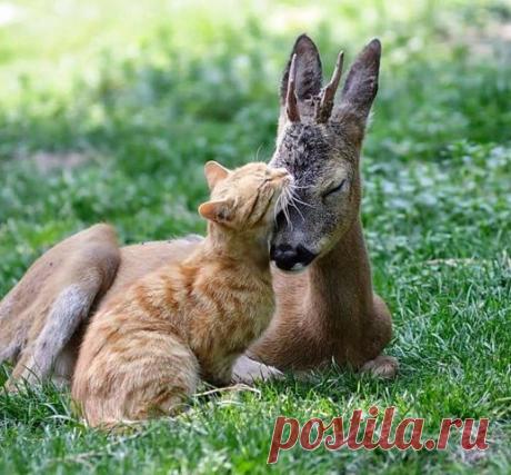 Фразы,Высказывания,Стихи,Цитаты,Видео...
Елена Станова