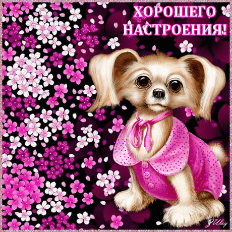 7795195.jpg (600×600)