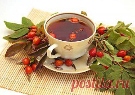 Как приготовить масло из плодов шиповника
