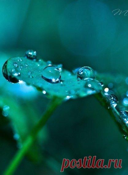 (8) Мой Мир@Mail.Ru