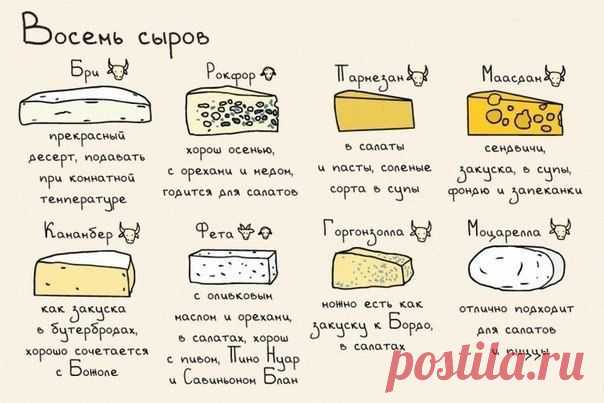 Новости
