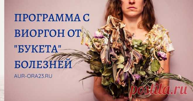 Программа с Виоргон от 
