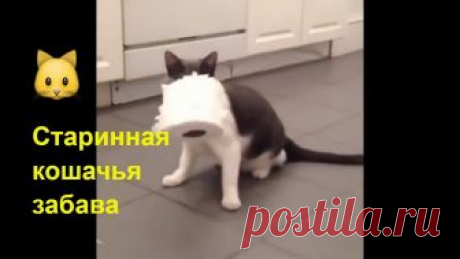 Игра для кошек - раскрути рулон.