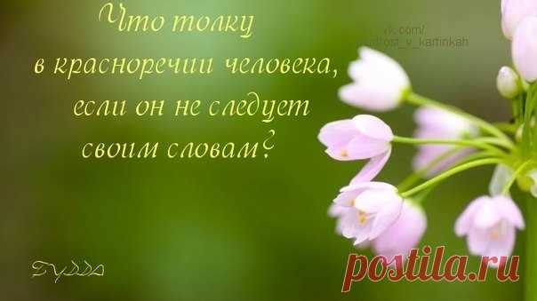 Людмила Заводникова