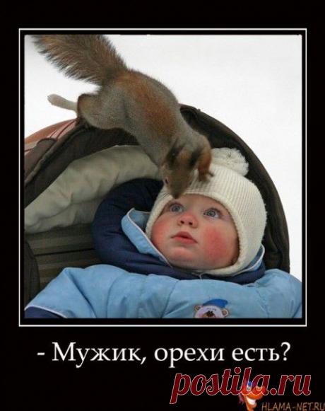 Эти милые животные!!! | Позитив в картинках и не только