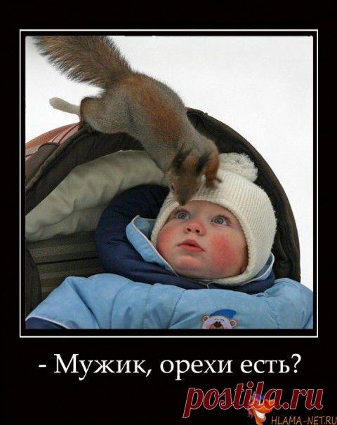 Эти милые животные!!! | Позитив в картинках и не только