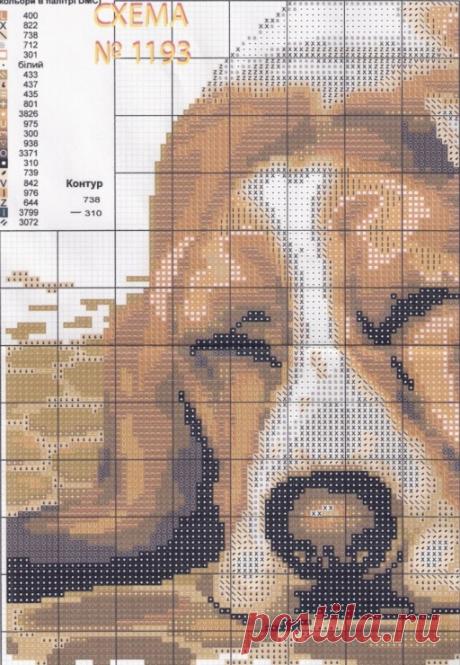 Gallery.ru / Фото #1 - верные друзья - anprosha