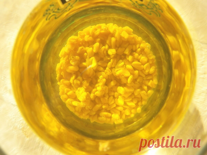 Чай из пажитника, выводящий вредную слизь из организма | Быстрые рецепты Живое питание | Яндекс Дзен