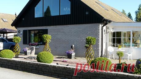 Плетение из лозы