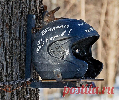Вот такая вот благотворительность:-) / Городская среда (граффити, снеговики, ets) / Модный сайт о стильной переделке одежды и интерьера