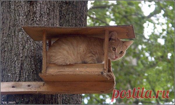 Интересные новости