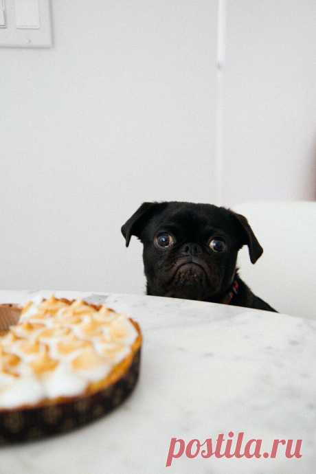 Почему вам постоянно хочется есть: 10 причин
Каждая девушка мечтает о суперспособности – есть, что захочется, и не толстеть. Некоторые обладают такой способностью, но большинству для сохранения идеальной фигуры необходимо следить за качеством и количеством еды. Наш организм – это сложный механизм, который не всегда получается держать под контролем. Вот, кажется, день проходит так же, как и всегда, но почему-то очень хочется […]
Читай дальше на сайте. Жми подробнее ➡