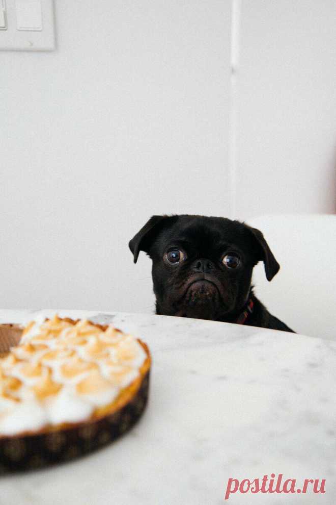 Почему вам постоянно хочется есть: 10 причин
Каждая девушка мечтает о суперспособности – есть, что захочется, и не толстеть. Некоторые обладают такой способностью, но большинству для сохранения идеальной фигуры необходимо следить за качеством и количеством еды. Наш организм – это сложный механизм, который не всегда получается держать под контролем. Вот, кажется, день проходит так же, как и всегда, но почему-то очень хочется […]
Читай дальше на сайте. Жми подробнее ➡