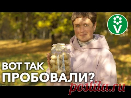 ХРАНИТЕ ЧЕСНОК ТАКИМ СПОСОБОМ, и он останется СВЕЖИМ до самой весны!
