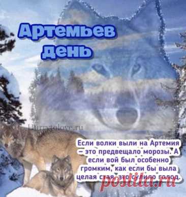 Мужчины укрепляли заборы и ограждения, чтобы защитить дома от волков, которые в это время выходили к деревням. Открытки на Артемьев День!