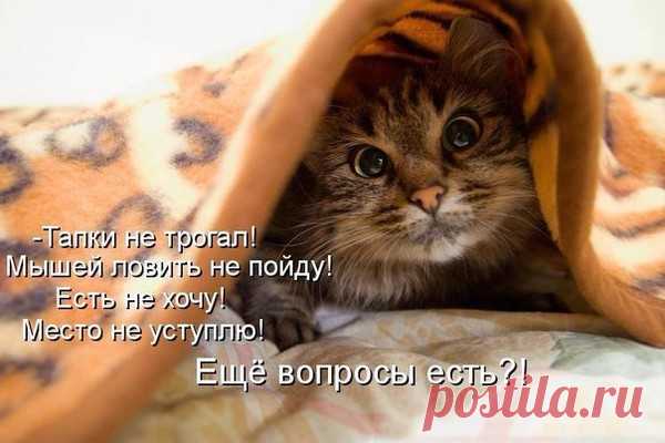 С ДОБРЫМ УТРОМ!!!! - ОБЩЕНИЕ И ВСЕ САМОЕ ИНТЕРЕСНОЕ. - Группы Мой Мир