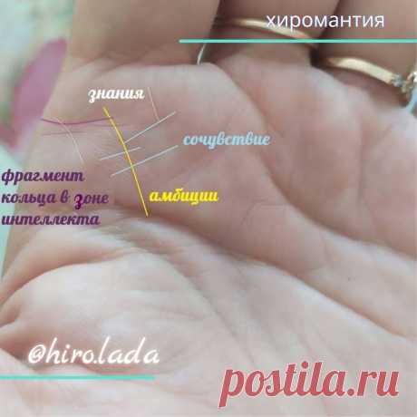 Давно не даёт покоя этот знак под указательным пальцем Подскажите, что это значит? | Хиромантия - заметки🔍🖐🏻 | Яндекс Дзен