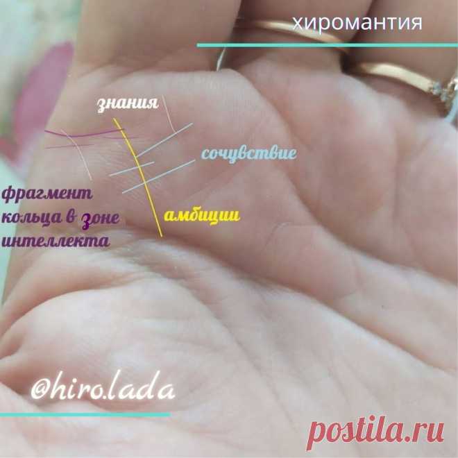 Давно не даёт покоя этот знак под указательным пальцем Подскажите, что это значит? | Хиромантия - заметки🔍🖐🏻 | Яндекс Дзен